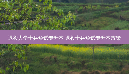 退役大学士兵免试专升本 退役士兵免试专升本政策-第1张图片-天智网 退役大学士兵免试专升本 退役士兵免试专升本政策-第1张图片-天智网