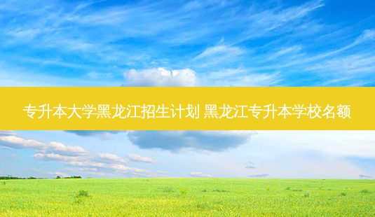 专升本大学黑龙江招生计划 黑龙江专升本学校名额-第1张图片-天智网 专升本大学黑龙江招生计划 黑龙江专升本学校名额-第1张图片-天智网