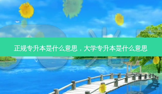 正规专升本是什么意思,大学专升本是什么意思-第1张图片-天智网 正规专升本是什么意思,大学专升本是什么意思-第1张图片-天智网