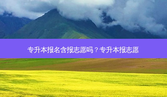 专升本报名含报志愿吗?专升本报志愿-第1张图片-天智网 专升本报名含报志愿吗?专升本报志愿-第1张图片-天智网