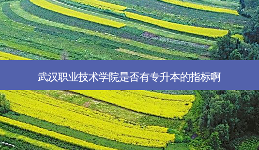武汉职业技术学院是否有专升本的指标啊-第1张图片-天智网 武汉职业技术学院是否有专升本的指标啊-第1张图片-天智网