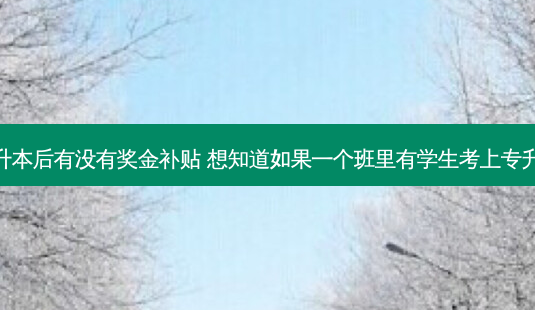 专升本后有没有奖金补贴 想知道如果一个班里有学生考上专升本-第1张图片-天智网 专升本后有没有奖金补贴 想知道如果一个班里有学生考上专升本-第1张图片-天智网