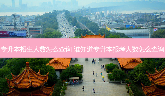 专升本招生人数怎么查询 谁知道专升本报考人数怎么查询-第1张图片-天智网 专升本招生人数怎么查询 谁知道专升本报考人数怎么查询-第1张图片-天智网
