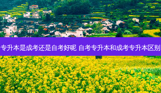 专升本是成考还是自考好呢 自考专升本和成考专升本区别-第1张图片-天智网 专升本是成考还是自考好呢 自考专升本和成考专升本区别-第1张图片-天智网