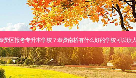 上海奉贤区报考专升本学校?奉贤南桥有什么好的学校可以读大专哇-第1张图片-天智网 上海奉贤区报考专升本学校?奉贤南桥有什么好的学校可以读大专哇-第1张图片-天智网