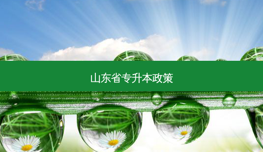 山东省专升本政策-第1张图片-天智网 山东省专升本政策-第1张图片-天智网