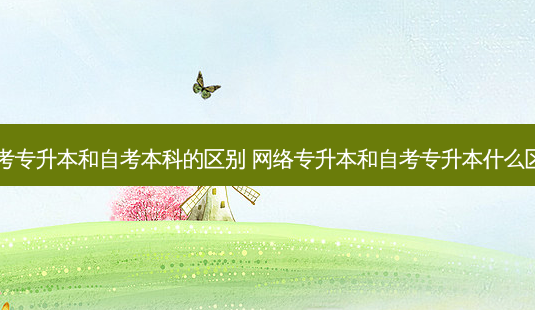 自考专升本和自考本科的区别 *** 专升本和自考专升本什么区别-第1张图片-天智网 自考专升本和自考本科的区别 *** 专升本和自考专升本什么区别-第1张图片-天智网