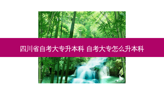 四川省自考大专升本科 自考大专怎么升本科-第1张图片-天智网 四川省自考大专升本科 自考大专怎么升本科-第1张图片-天智网