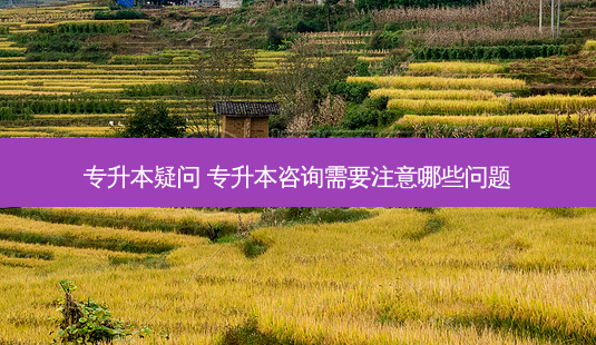 专升本疑问 专升本咨询需要注意哪些问题-第1张图片-天智网 专升本疑问 专升本咨询需要注意哪些问题-第1张图片-天智网