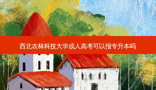 西北农林科技大学成人高考可以报专升本吗-第1张图片-天智网 西北农林科技大学成人高考可以报专升本吗-第1张图片-天智网