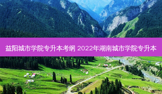 益阳城市学院专升本考纲 2022年湖南城市学院专升本-第1张图片-汇成专升本网