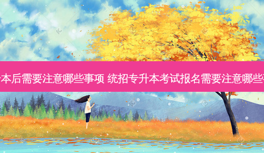 专升本后需要注意哪些事项 统招专升本考试报名需要注意哪些事项-第1张图片-天智网 专升本后需要注意哪些事项 统招专升本考试报名需要注意哪些事项-第1张图片-天智网