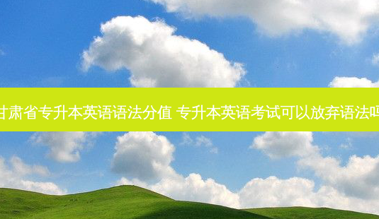 甘肃省专升本英语语法分值 专升本英语考试可以放弃语法吗-第1张图片-天智网 甘肃省专升本英语语法分值 专升本英语考试可以放弃语法吗-第1张图片-天智网