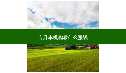 专升本机构靠什么赚钱-第1张图片-天智网 专升本机构靠什么赚钱-第1张图片-天智网