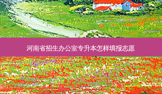 河南省招生办公室专升本怎样填报志愿-第1张图片-天智网 河南省招生办公室专升本怎样填报志愿-第1张图片-天智网