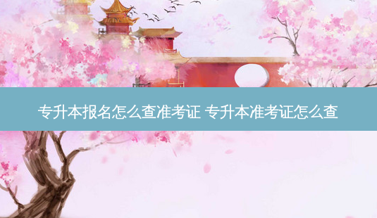 专升本报名怎么查准考证 专升本准考证怎么查-第1张图片-天智网 专升本报名怎么查准考证 专升本准考证怎么查-第1张图片-天智网