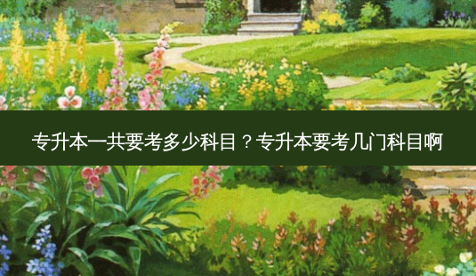 专升本一共要考多少科目?专升本要考几门科目啊-第1张图片-天智网 专升本一共要考多少科目?专升本要考几门科目啊-第1张图片-天智网