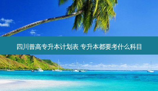 四川普高专升本计划表 专升本都要考什么科目-第1张图片-汇成专升本网