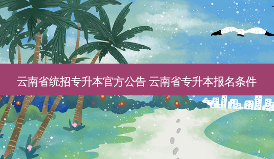 云南省统招专升本官方公告 云南省专升本报名条件-第1张图片-汇成专升本网