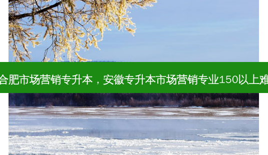 在合肥市场营销专升本，安徽专升本市场营销专业150以上难吗-第1张图片-汇成专升本网