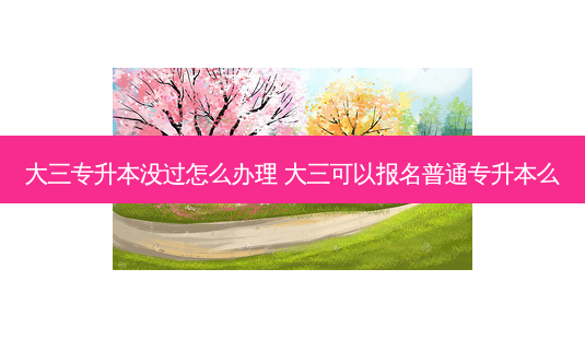 大三专升本没过怎么办理 大三可以报名普通专升本么-第1张图片-天智网 大三专升本没过怎么办理 大三可以报名普通专升本么-第1张图片-天智网