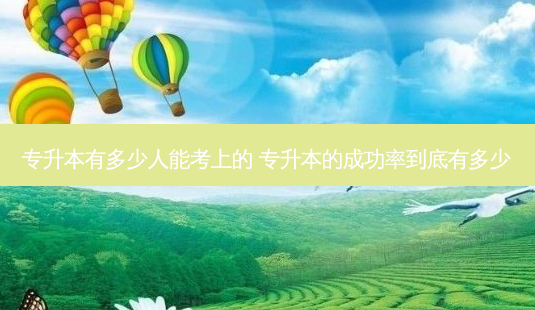 专升本有多少人能考上的 专升本的成功率到底有多少-第1张图片-天智网 专升本有多少人能考上的 专升本的成功率到底有多少-第1张图片-天智网