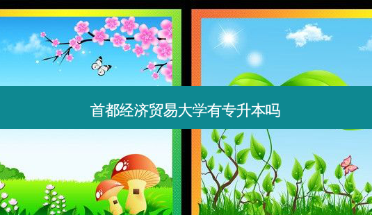 首都经济贸易大学有专升本吗-第1张图片-天智网 首都经济贸易大学有专升本吗-第1张图片-天智网