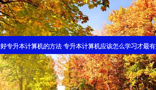 学好专升本计算机的 *** 专升本计算机应该怎么学习才 *** 有效-第1张图片-天智网 学好专升本计算机的 *** 专升本计算机应该怎么学习才 *** 有效-第1张图片-天智网