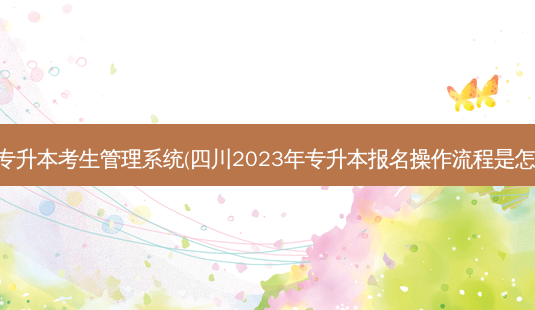 四川专升本考生管理系统(四川2023年专升本报名操作流程是怎样的)-第1张图片-天智网 四川专升本考生管理系统(四川2023年专升本报名操作流程是怎样的)-第1张图片-天智网