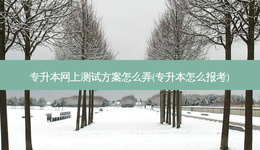 专升本网上测试方案怎么弄(专升本怎么报考)-第1张图片-天智网 专升本网上测试方案怎么弄(专升本怎么报考)-第1张图片-天智网