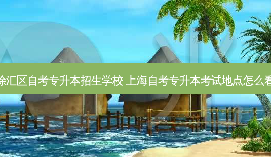 徐汇区自考专升本招生学校 上海自考专升本考试地点怎么看-第1张图片-汇成专升本网