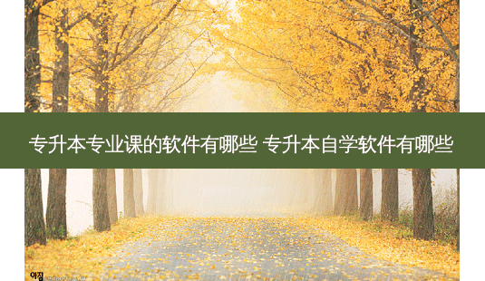 专升本专业课的软件有哪些 专升本自学软件有哪些-第1张图片-天智网 专升本专业课的软件有哪些 专升本自学软件有哪些-第1张图片-天智网
