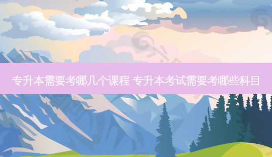 专升本需要考哪几个课程 专升本考试需要考哪些科目-第1张图片-天智网 专升本需要考哪几个课程 专升本考试需要考哪些科目-第1张图片-天智网