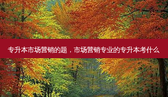 专升本市场营销的题,市场营销专业的专升本考什么-第1张图片-天智网 专升本市场营销的题,市场营销专业的专升本考什么-第1张图片-天智网