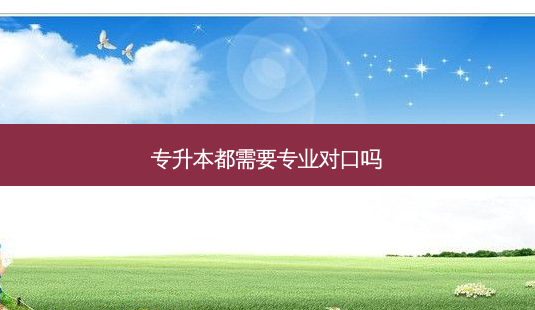 专升本都需要专业对口吗-第1张图片-天智网 专升本都需要专业对口吗-第1张图片-天智网