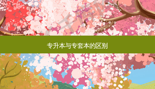 专升本与专套本的区别-第1张图片-天智网 专升本与专套本的区别-第1张图片-天智网
