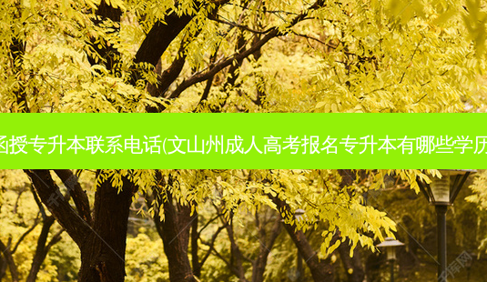 文山函授专升本联系 *** (文山州成人高考报名专升本有哪些学历要求)-第1张图片-天智网 文山函授专升本联系 *** (文山州成人高考报名专升本有哪些学历要求)-第1张图片-天智网