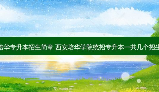 西安培华专升本招生简章 西安培华学院统招专升本一共几个招生专业-第1张图片-汇成专升本网