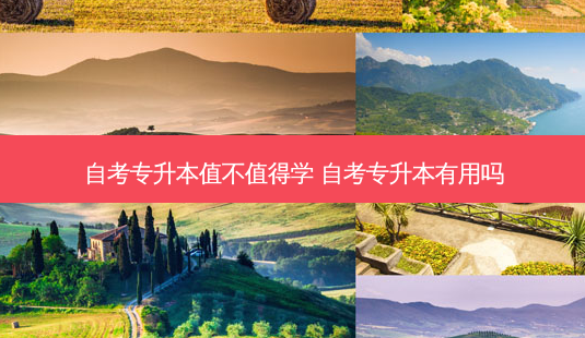 自考专升本值不值得学 自考专升本有用吗-第1张图片-天智网 自考专升本值不值得学 自考专升本有用吗-第1张图片-天智网