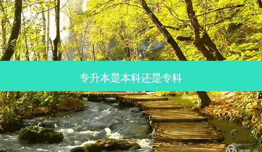 专升本是本科还是专科-第1张图片-天智网 专升本是本科还是专科-第1张图片-天智网