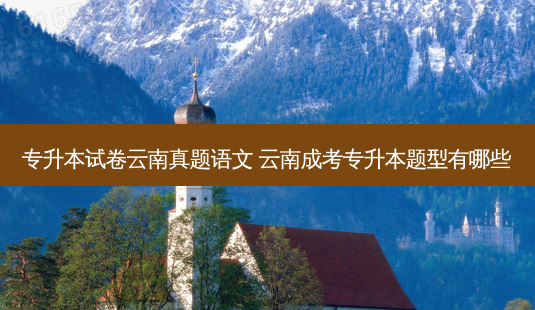 专升本试卷云南真题语文 云南成考专升本题型有哪些-第1张图片-天智网 专升本试卷云南真题语文 云南成考专升本题型有哪些-第1张图片-天智网