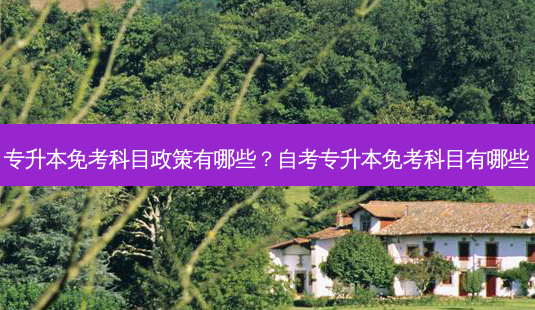 专升本免考科目政策有哪些?自考专升本免考科目有哪些-第1张图片-天智网 专升本免考科目政策有哪些?自考专升本免考科目有哪些-第1张图片-天智网