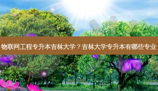 物联网工程专升本吉林大学?吉林大学专升本有哪些专业-第1张图片-天智网 物联网工程专升本吉林大学?吉林大学专升本有哪些专业-第1张图片-天智网