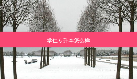 学仁专升本怎么样-第1张图片-天智网 学仁专升本怎么样-第1张图片-天智网