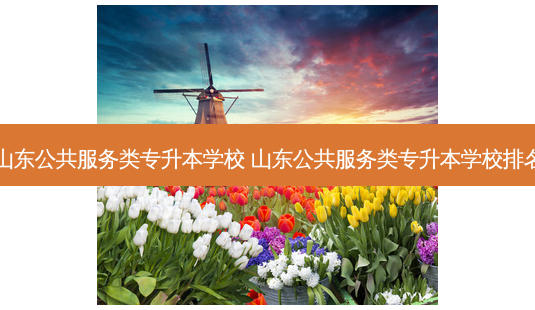 山东公共服务类专升本学校 山东公共服务类专升本学校排名-第1张图片-天智网 山东公共服务类专升本学校 山东公共服务类专升本学校排名-第1张图片-天智网