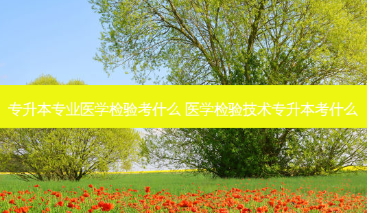 专升本专业医学检验考什么 医学检验技术专升本考什么-第1张图片-天智网 专升本专业医学检验考什么 医学检验技术专升本考什么-第1张图片-天智网