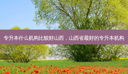 专升本什么机构比较好山西,山西省 *** 好的专升本机构-第1张图片-天智网 专升本什么机构比较好山西,山西省 *** 好的专升本机构-第1张图片-天智网