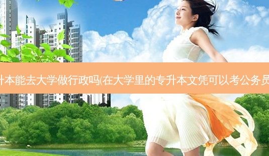 专升本能去大学做行政吗(在大学里的专升本文凭可以考公务员吗)-第1张图片-天智网 专升本能去大学做行政吗(在大学里的专升本文凭可以考公务员吗)-第1张图片-天智网