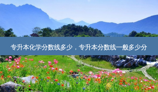 专升本化学分数线多少,专升本分数线一般多少分-第1张图片-天智网 专升本化学分数线多少,专升本分数线一般多少分-第1张图片-天智网