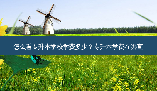 怎么看专升本学校学费多少?专升本学费在哪查-第1张图片-天智网 怎么看专升本学校学费多少?专升本学费在哪查-第1张图片-天智网
